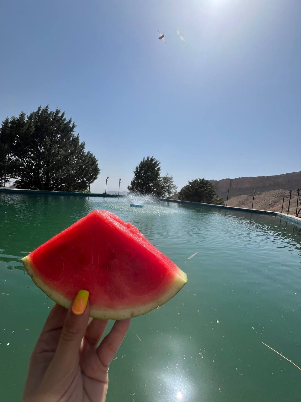 تصویر 9 از گالری رزنه